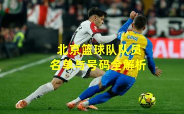 北京篮球队队员名单与号码全解析
