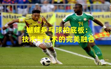 蝴蝶乒乓球拍底板：技术与艺术的完美融合