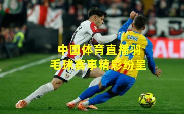 中国体育直播羽毛球赛事精彩纷呈