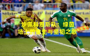 沙佩科恩斯队：绿茵场上的重生与坚韧之歌