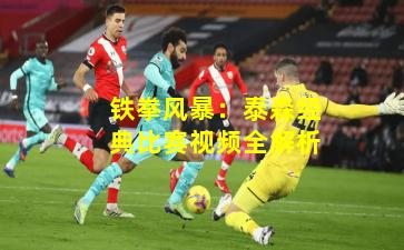 铁拳风暴：泰森经典比赛视频全解析