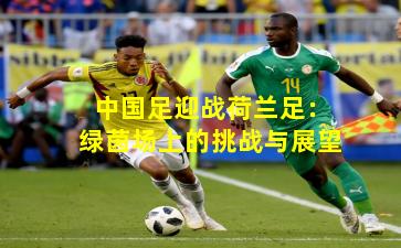 中国足迎战荷兰足：绿茵场上的挑战与展望