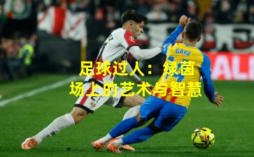 足球过人：绿茵场上的艺术与智慧
